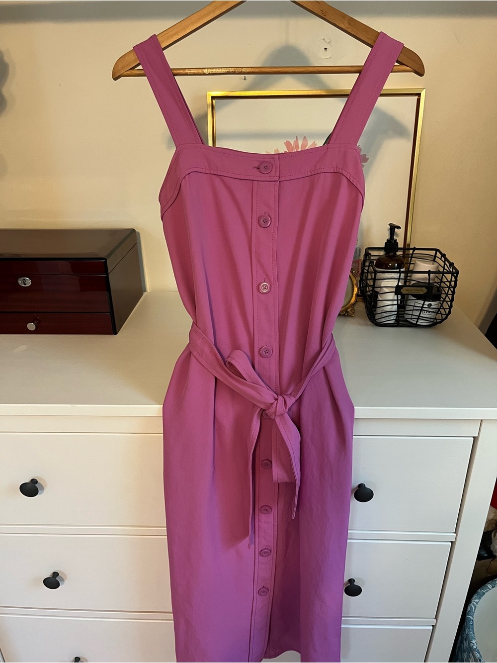 Everlane Sleeveless Button-Front Midi Dress